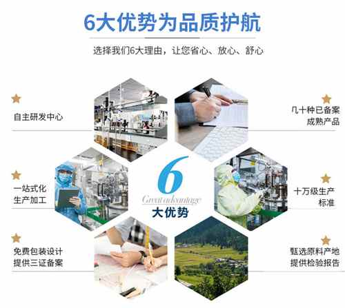 速溶食品加工技术服务 创新与精准控制的实践路径